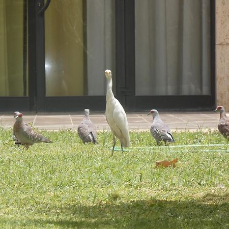 L'Amitie Hotel NʼDjamena 外观 照片