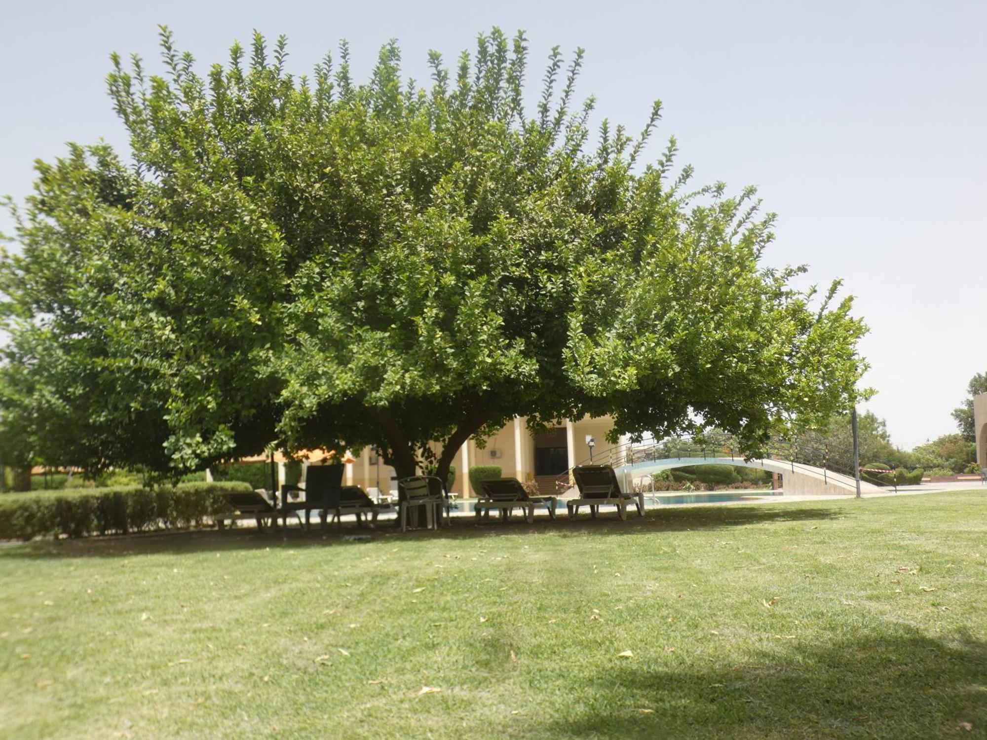 L'Amitie Hotel NʼDjamena 外观 照片